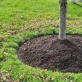 tree mulching home hero